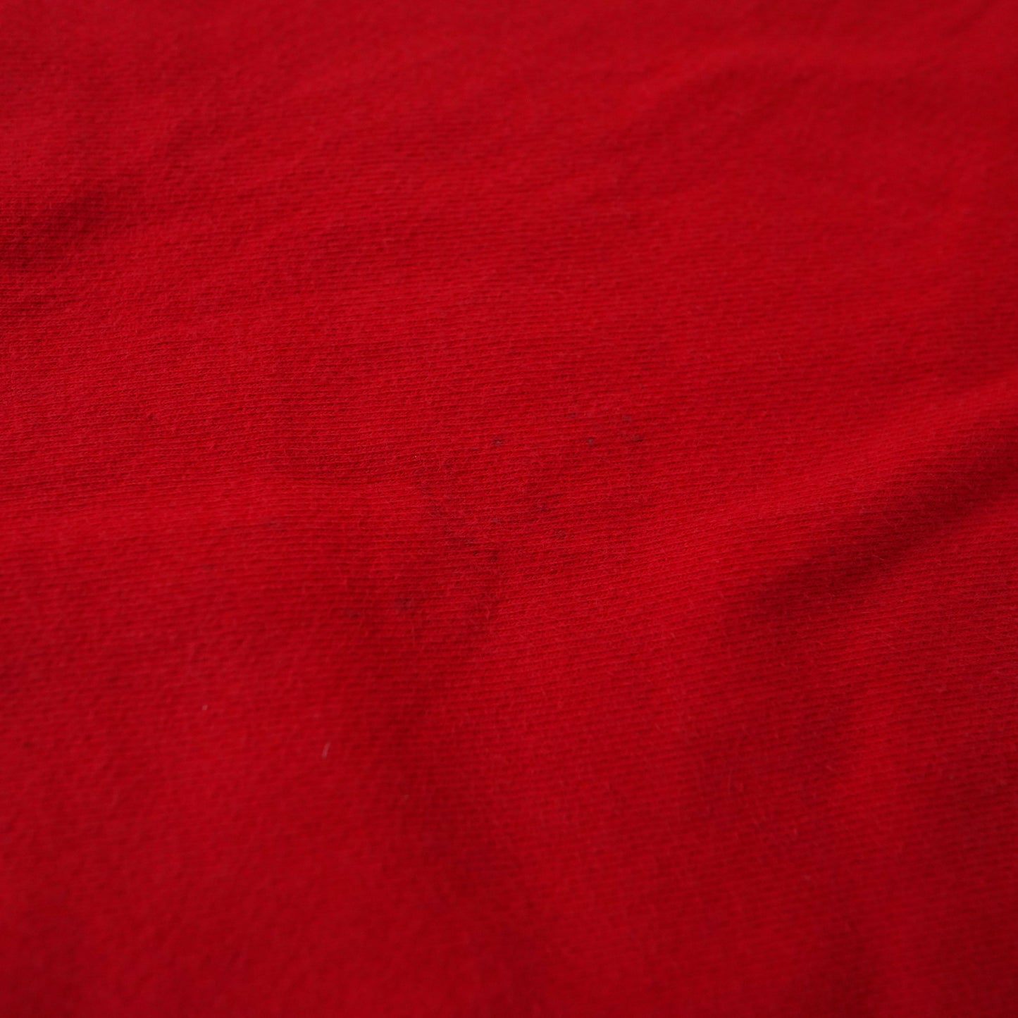 Champion REVERSE WEAVE hoodie