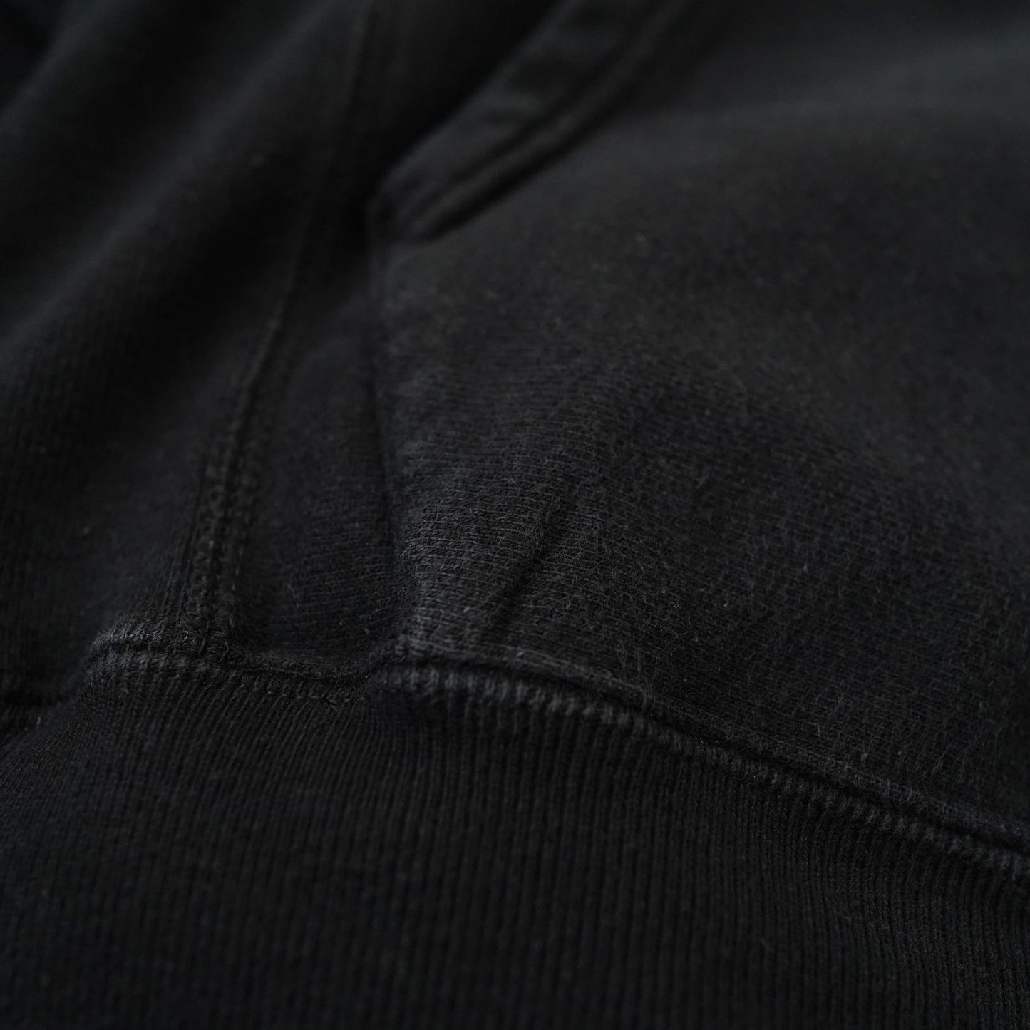 Champion REVERSE WEAVE hoodie