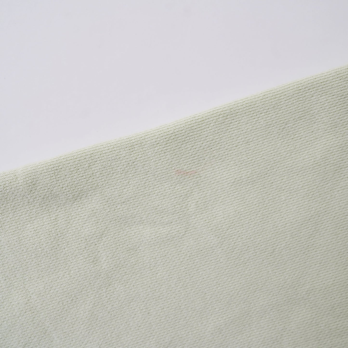 Champion REVERSE WEAVE hoodie