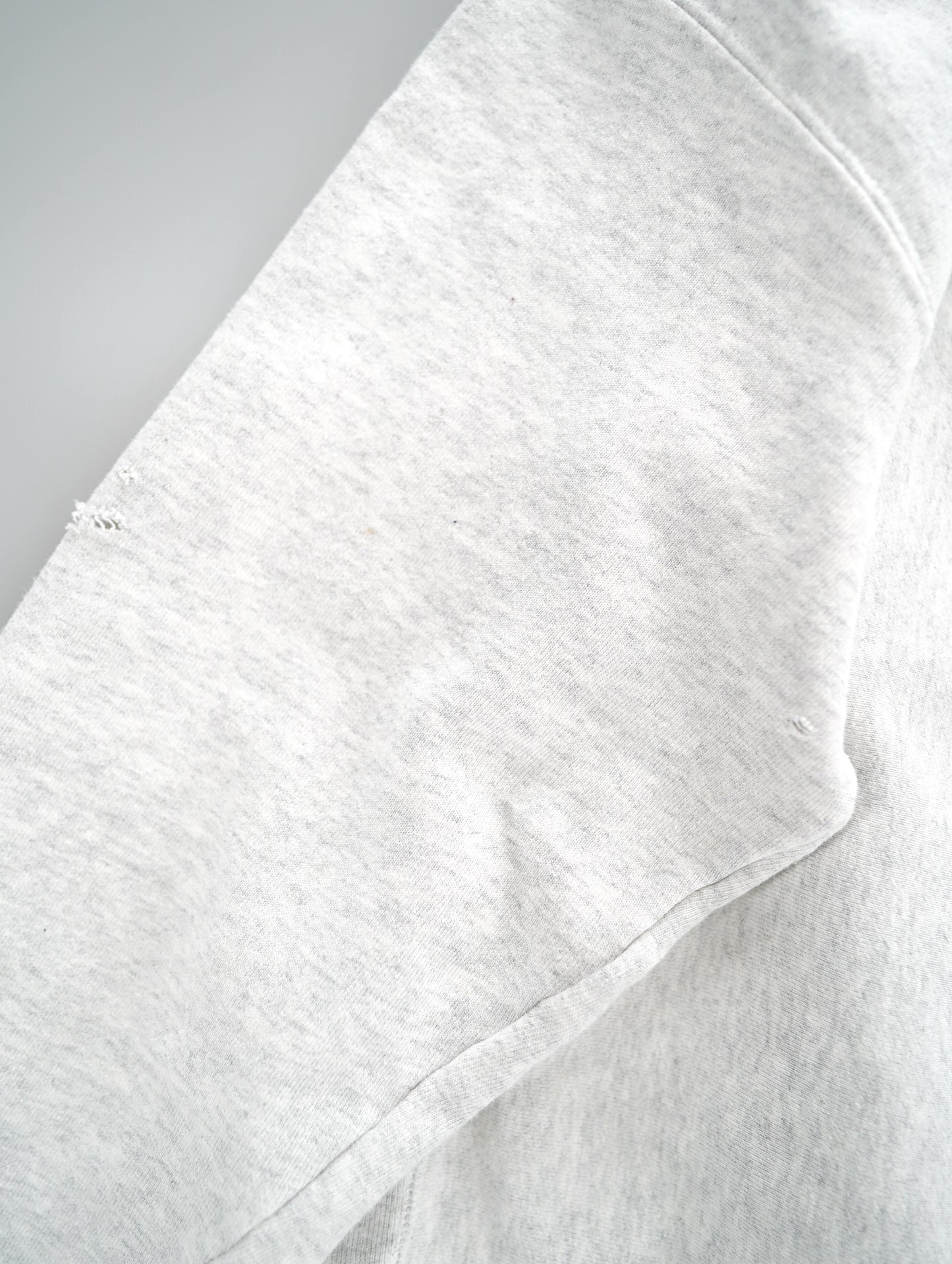 Champion REVERSE WEAVE hoodie