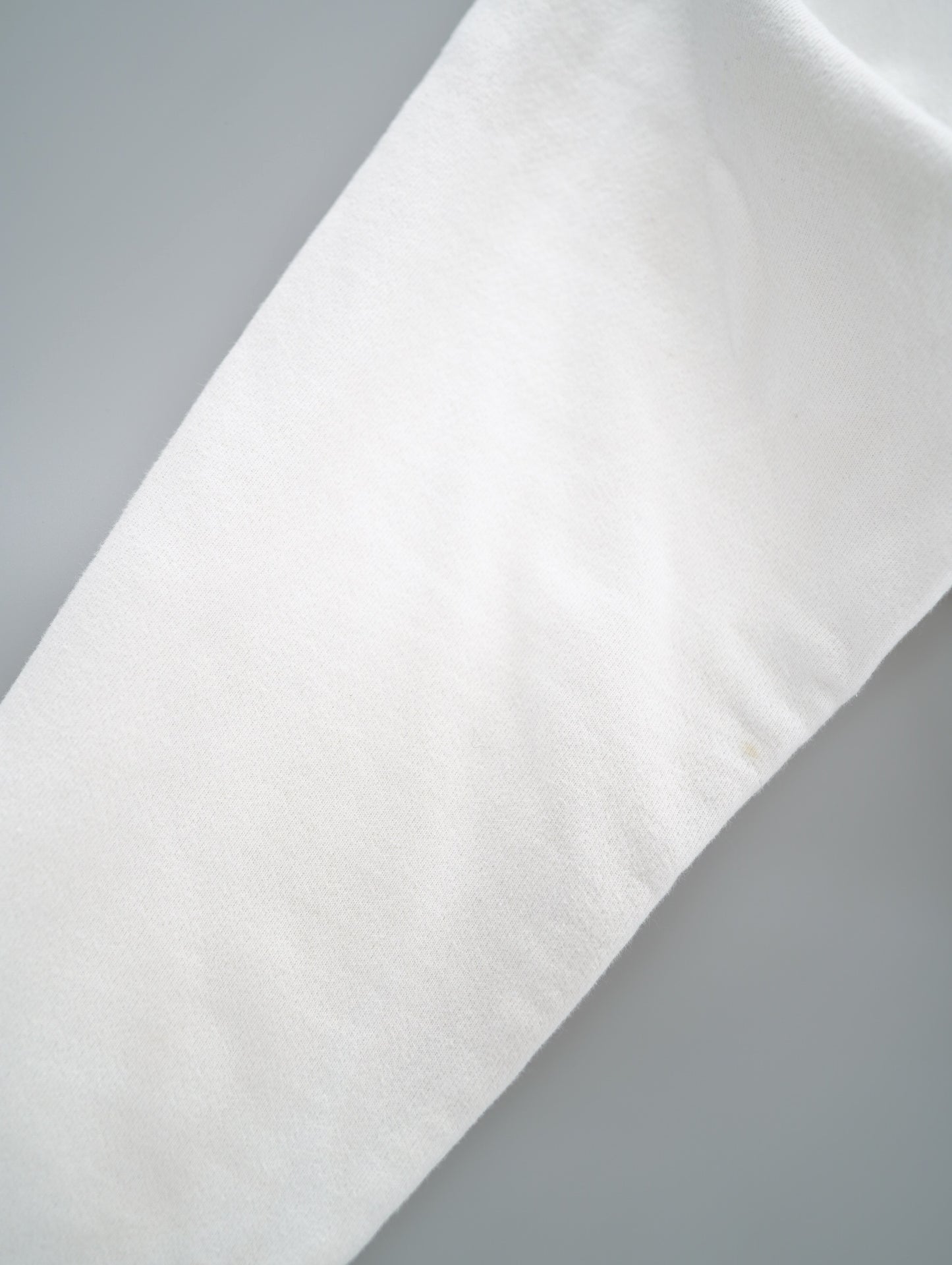 Champion REVERSE WEAVE hoodie