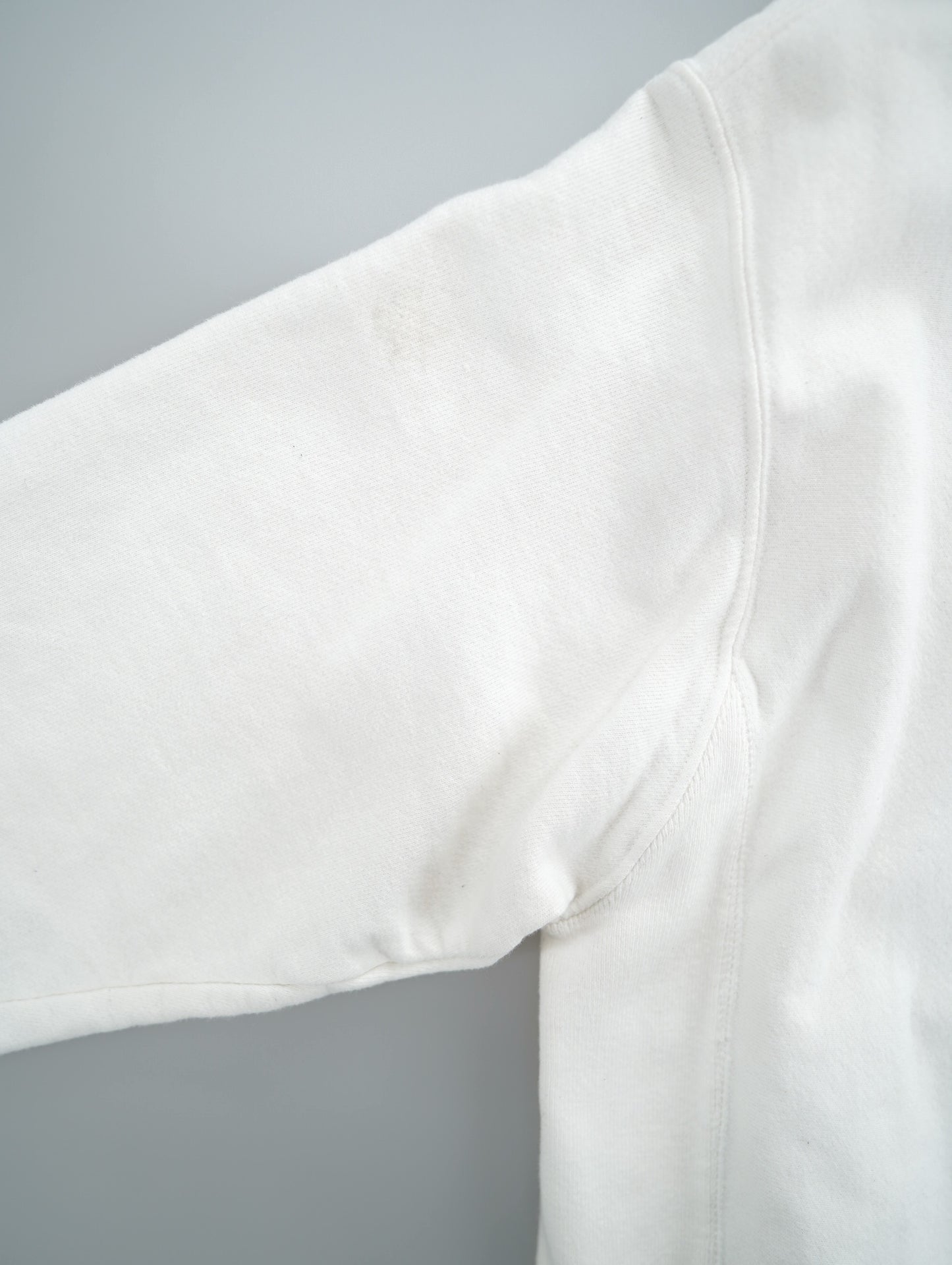 Champion REVERSE WEAVE hoodie