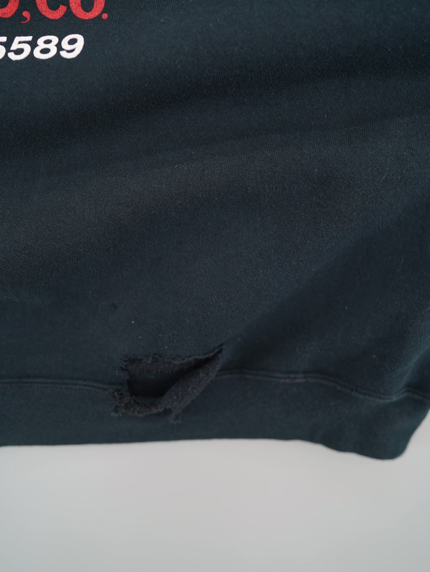 90s hawg wild hoodie