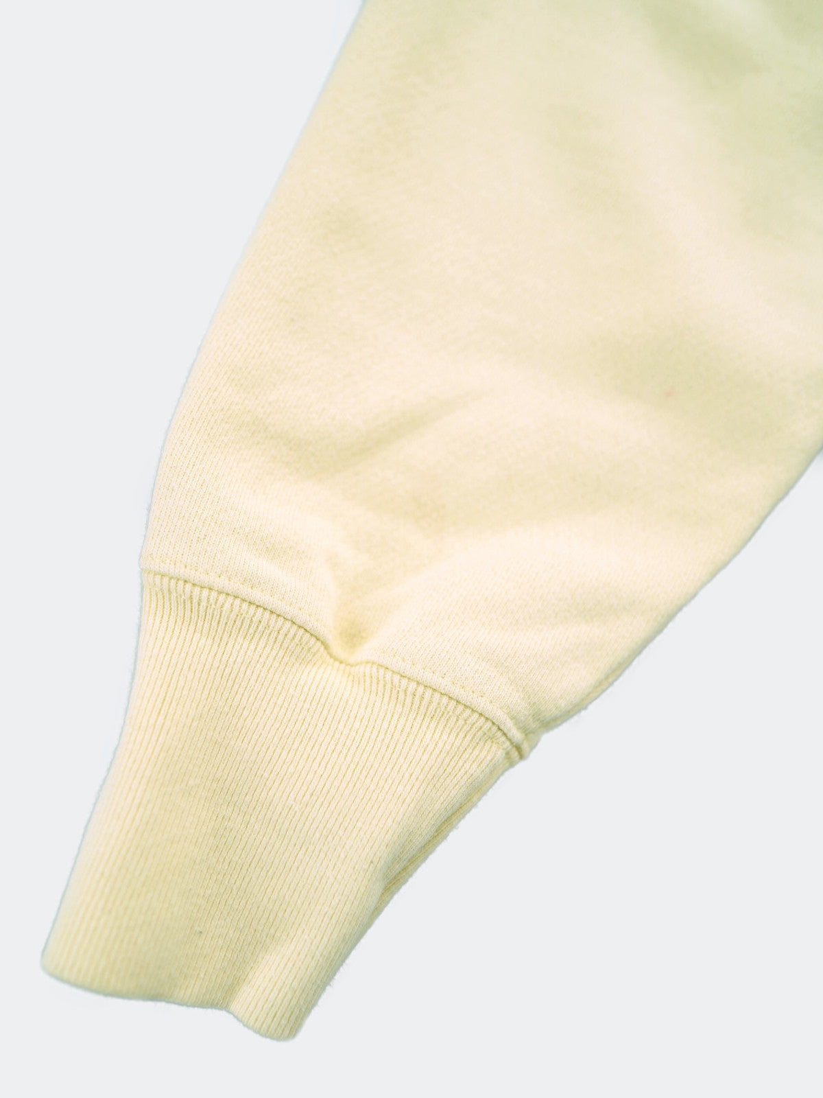 Champion REVERSE WEAVE hoodie