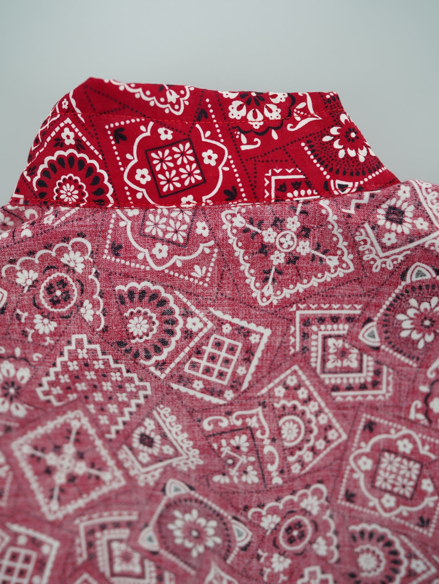 paisley western shirt