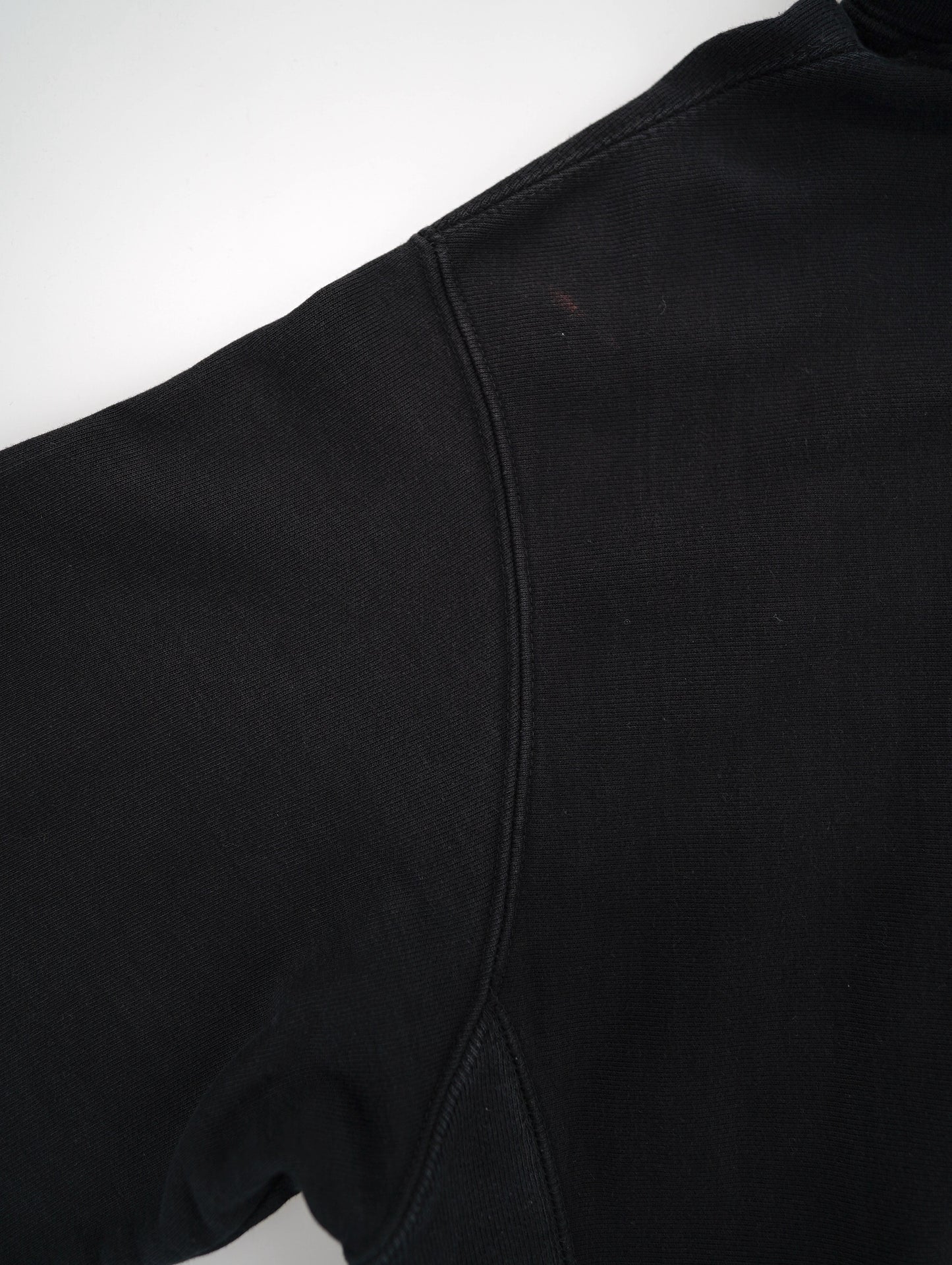 Champion REVERSE WEAVE hoodie