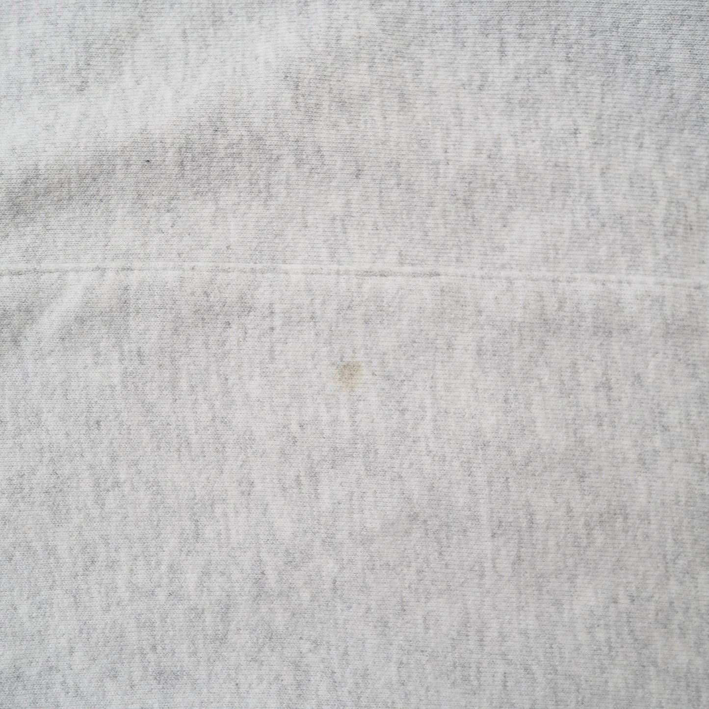 Champion REVERSE WEAVE hoodie