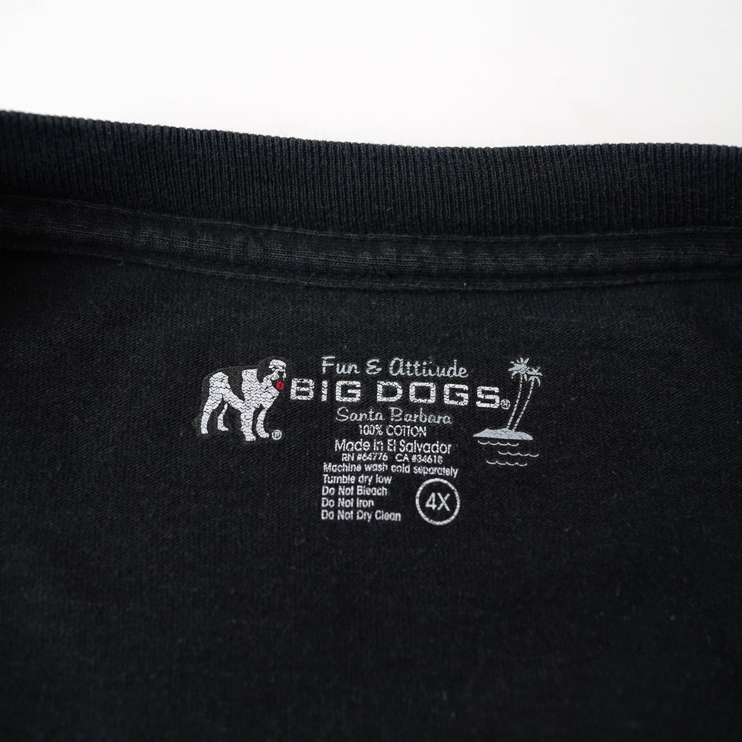 BIG DOGS tee