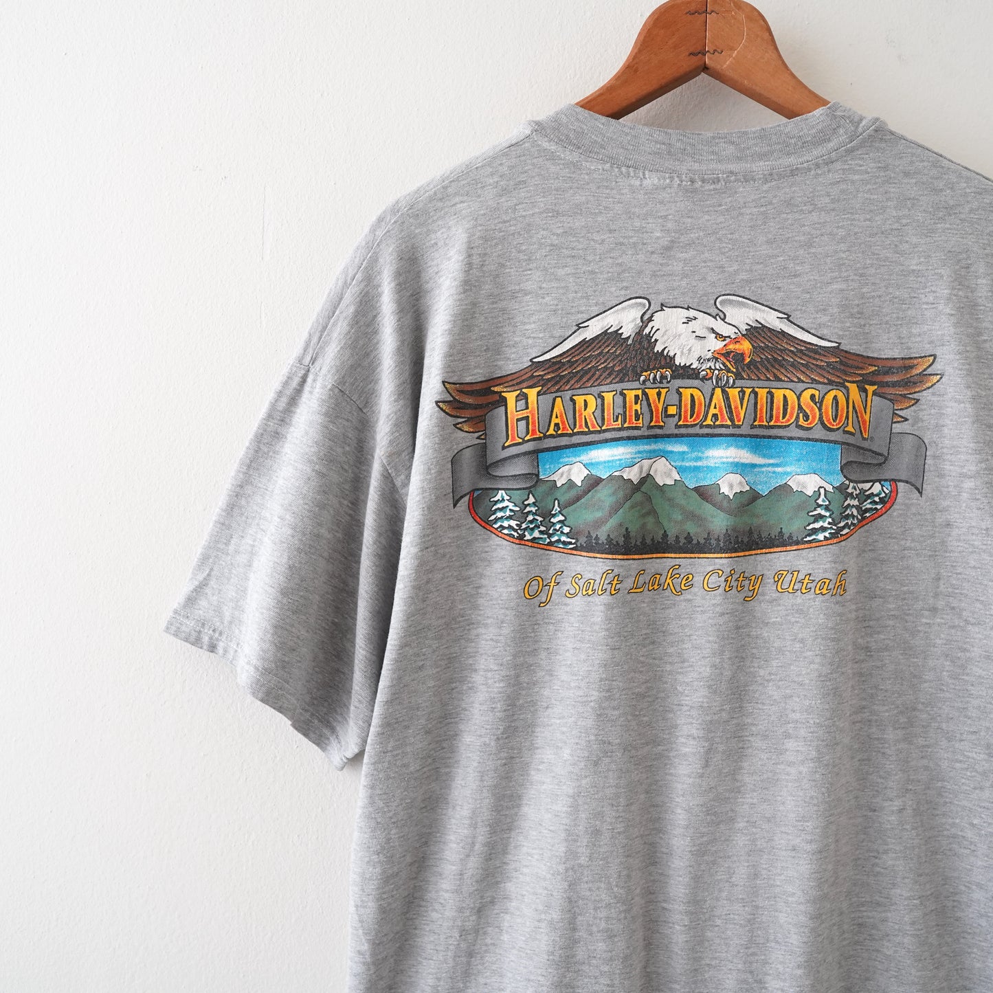 HARLEY DAVIDSON tee