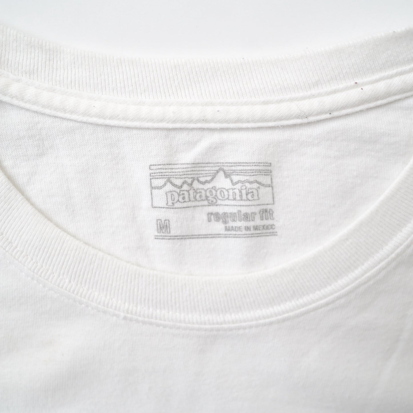 patagonia logo tee