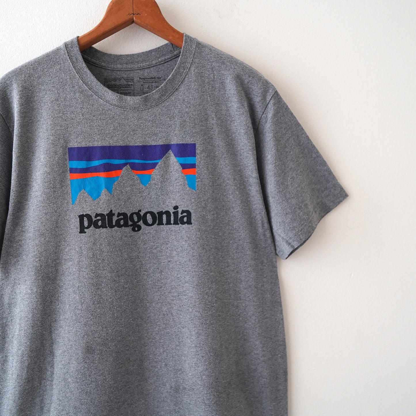 patagonia tee