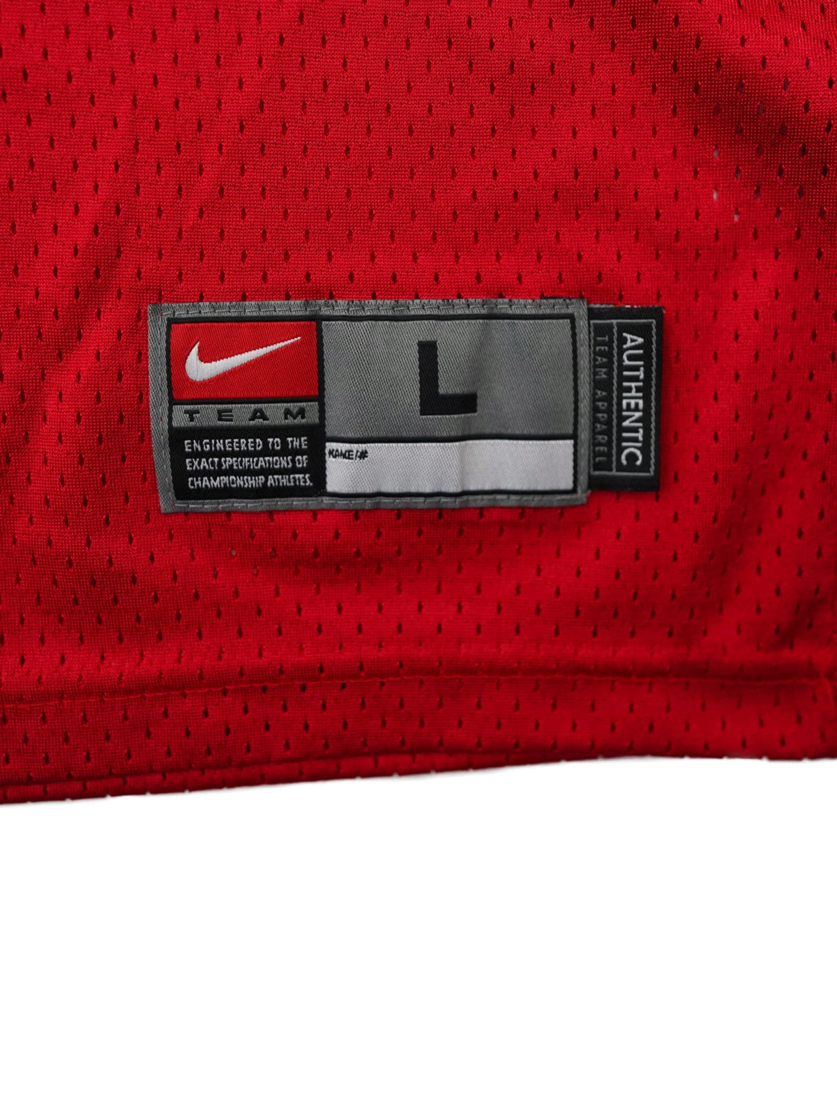 NIKE OHIO STATE game shirt