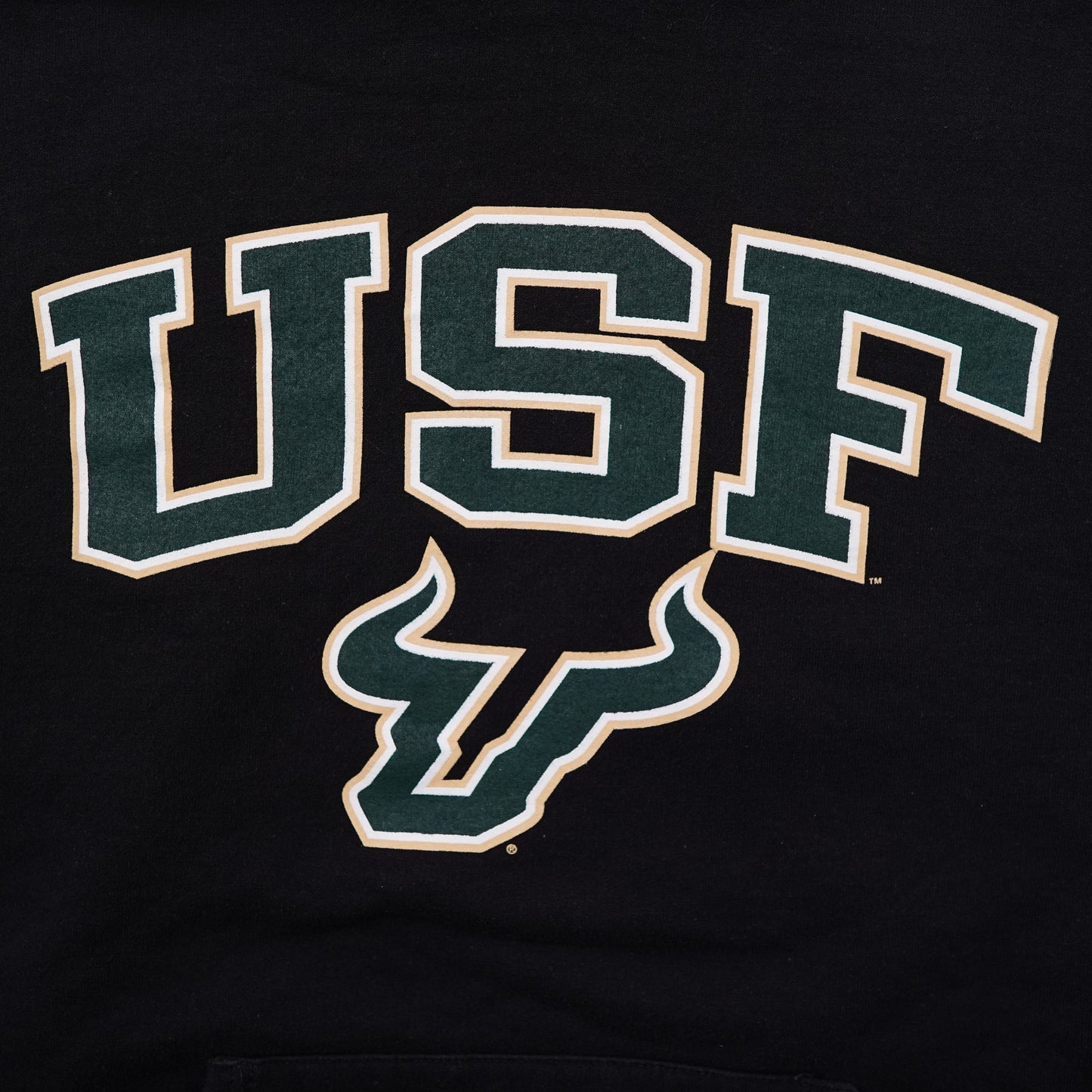 Champion USF South Florida Bulls hoodie