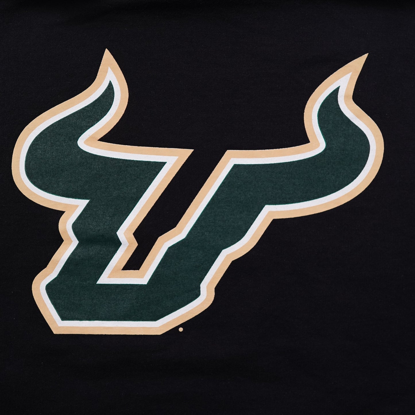 Champion USF South Florida Bulls hoodie