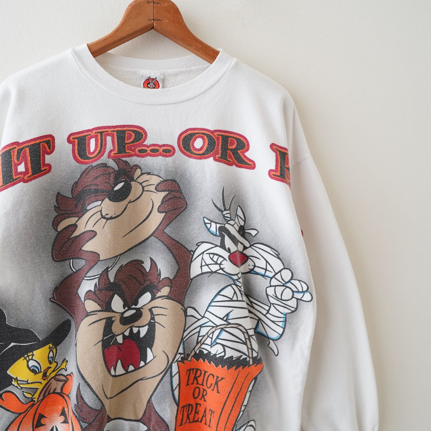 90s LOONEY TUNES sweat