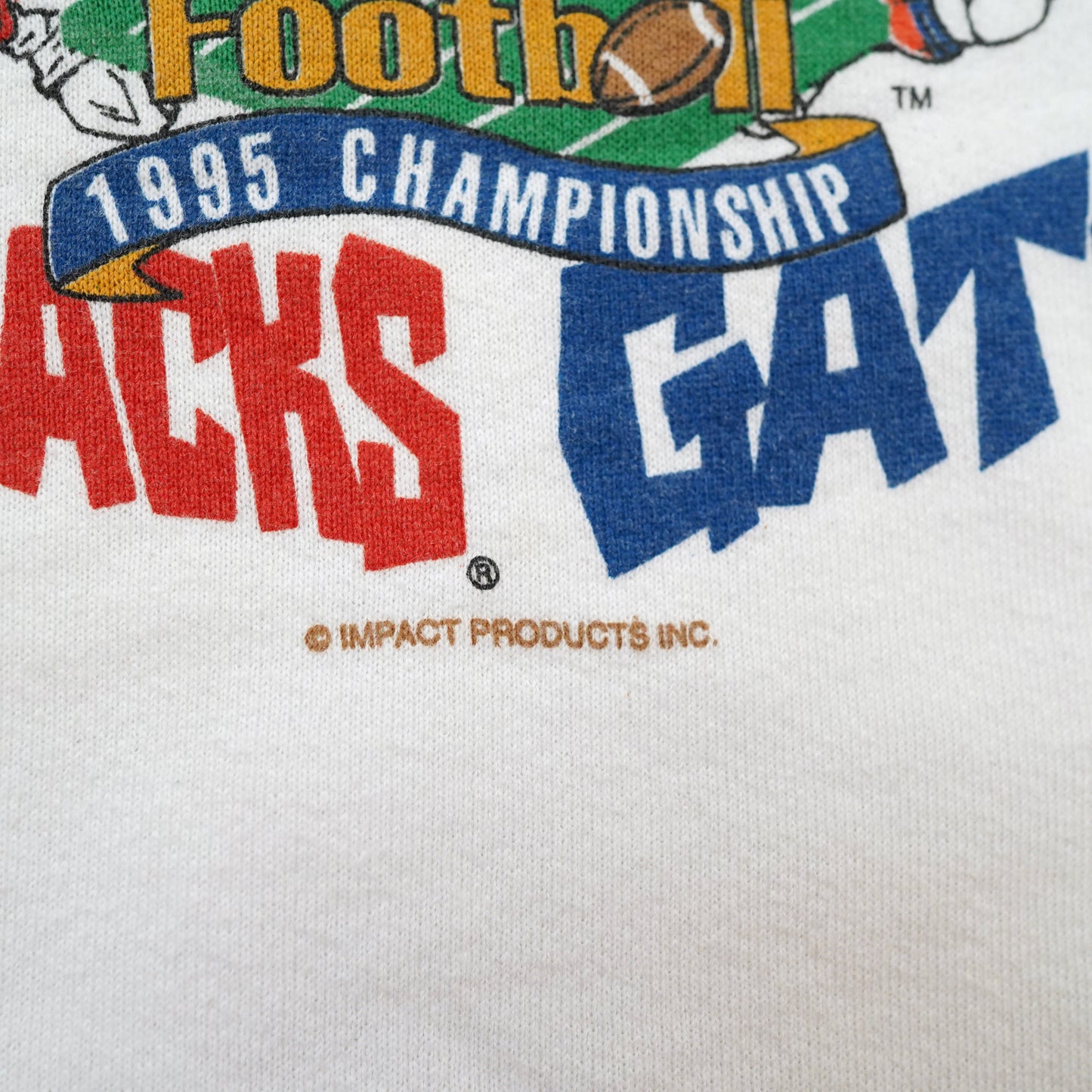 90s SEC Football sweat