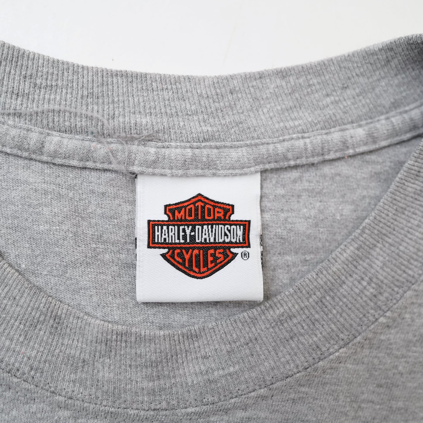 HARLEY DAVIDSON long tee