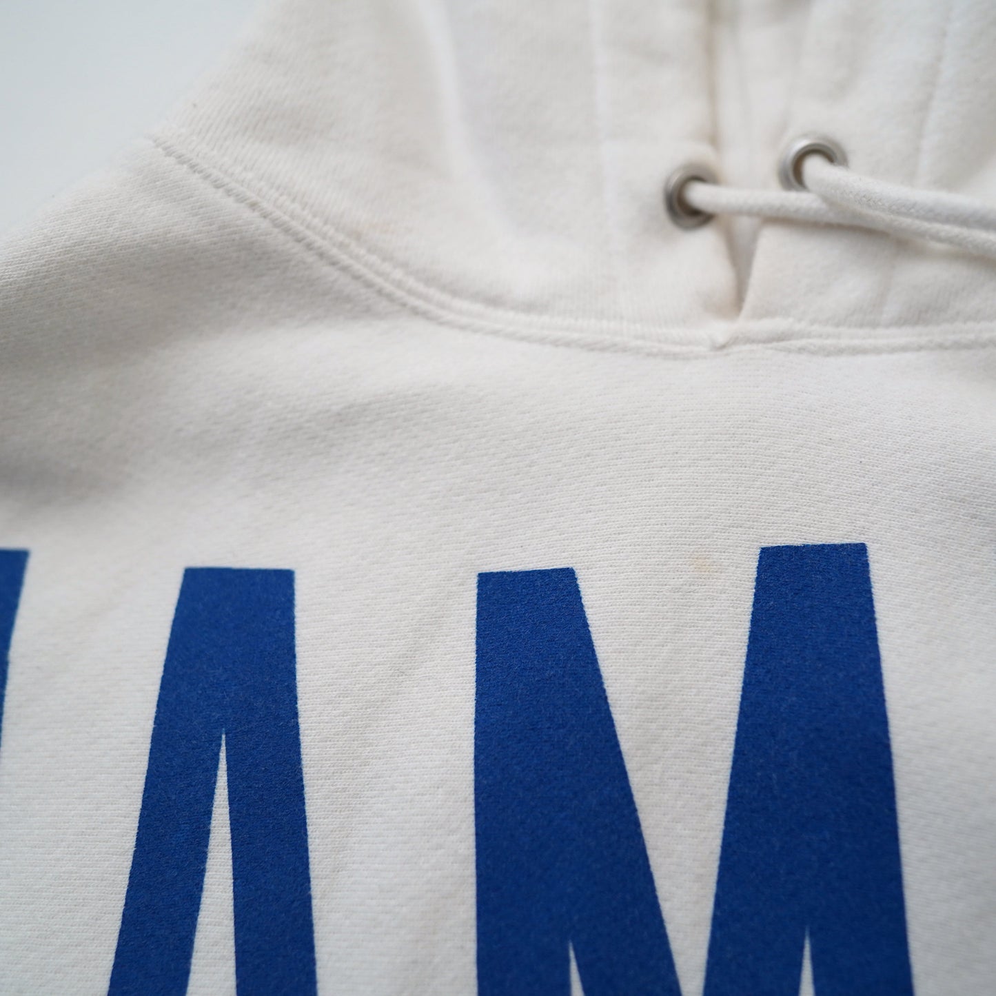 Champion REVERSE WEAVE hoodie