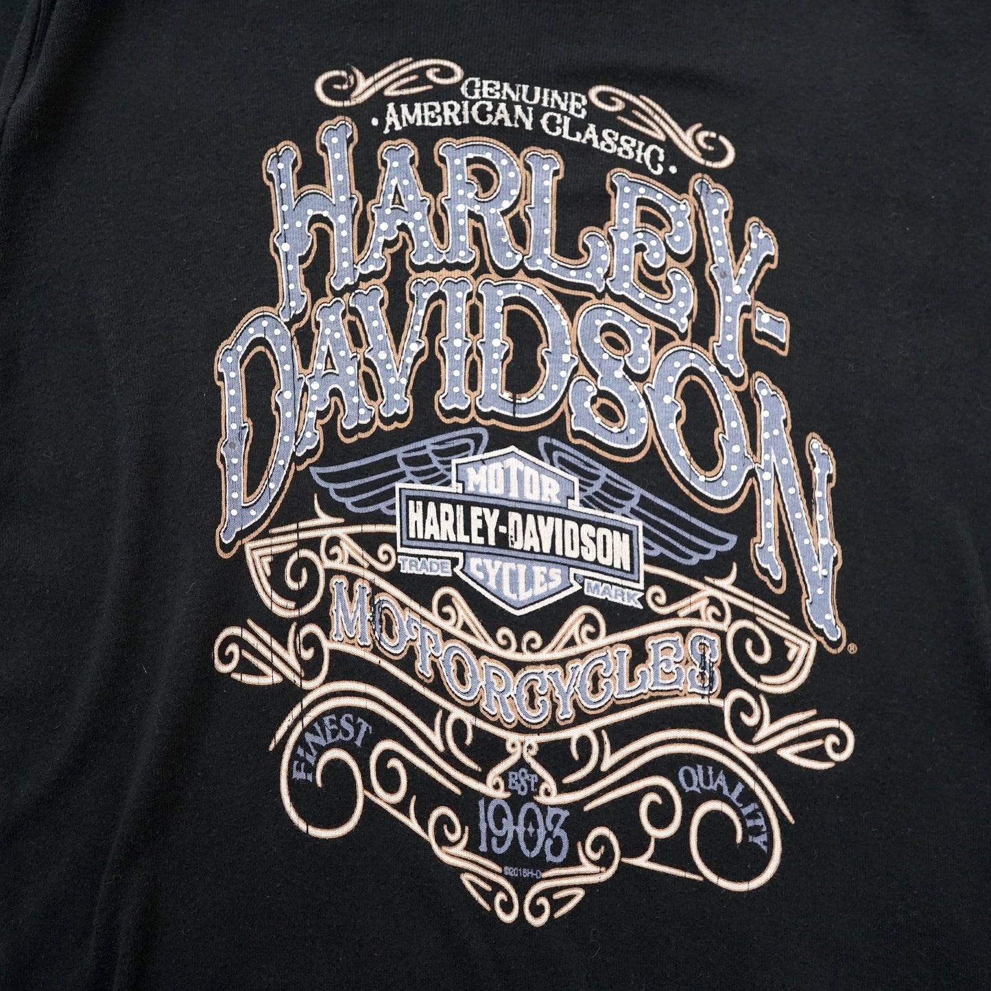 HARLEY DAVIDSON long tee