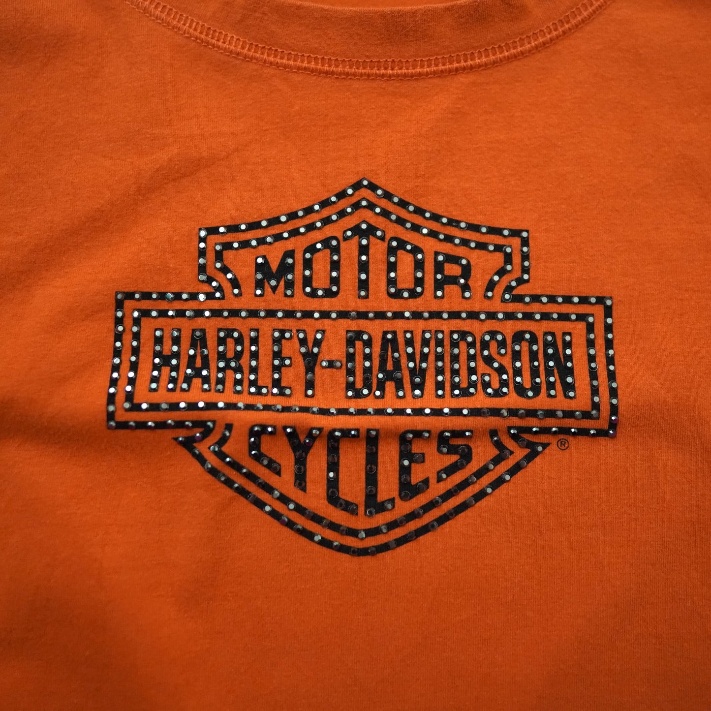 HARLEY DAVIDSON long tee