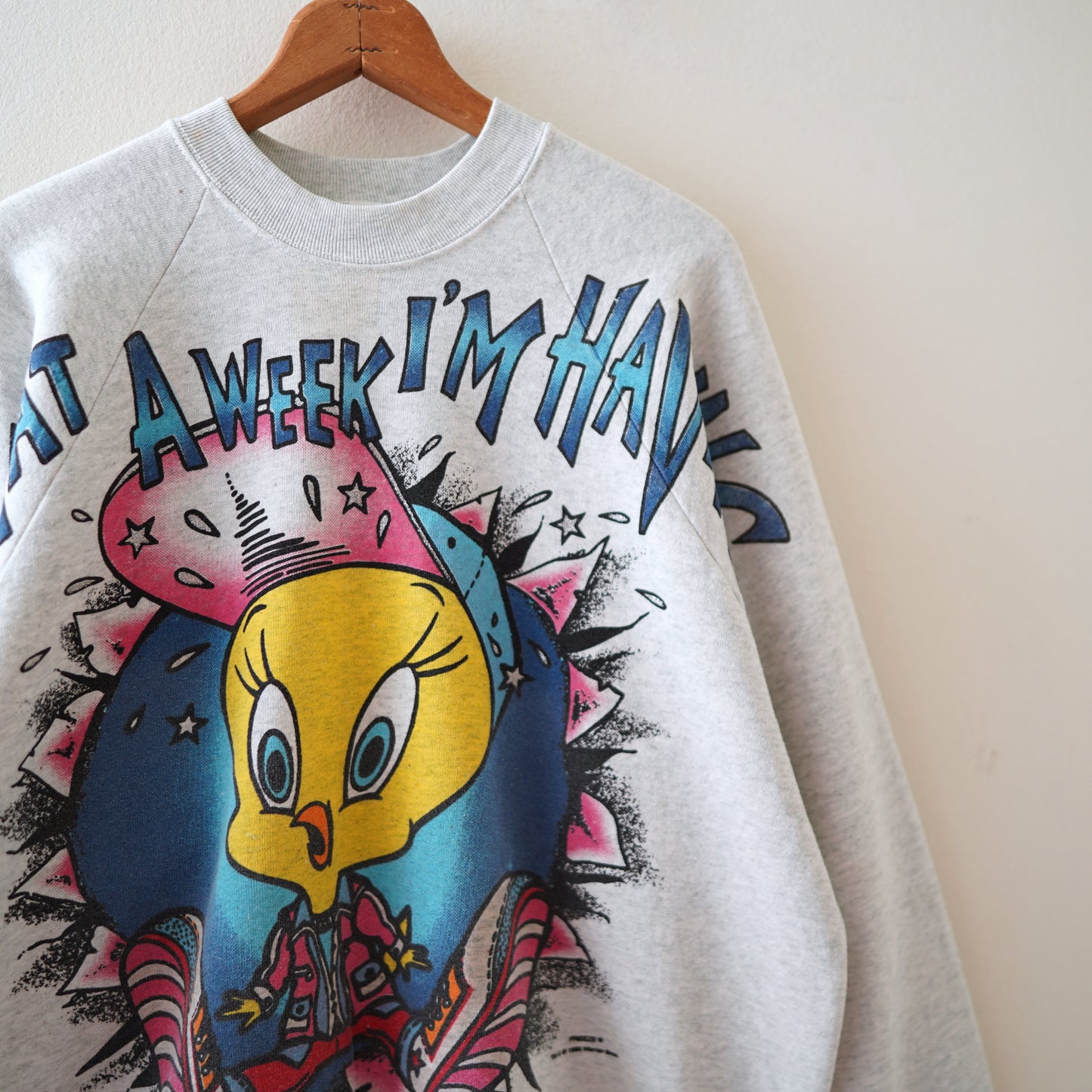 90s LOONEY TUNES sweat