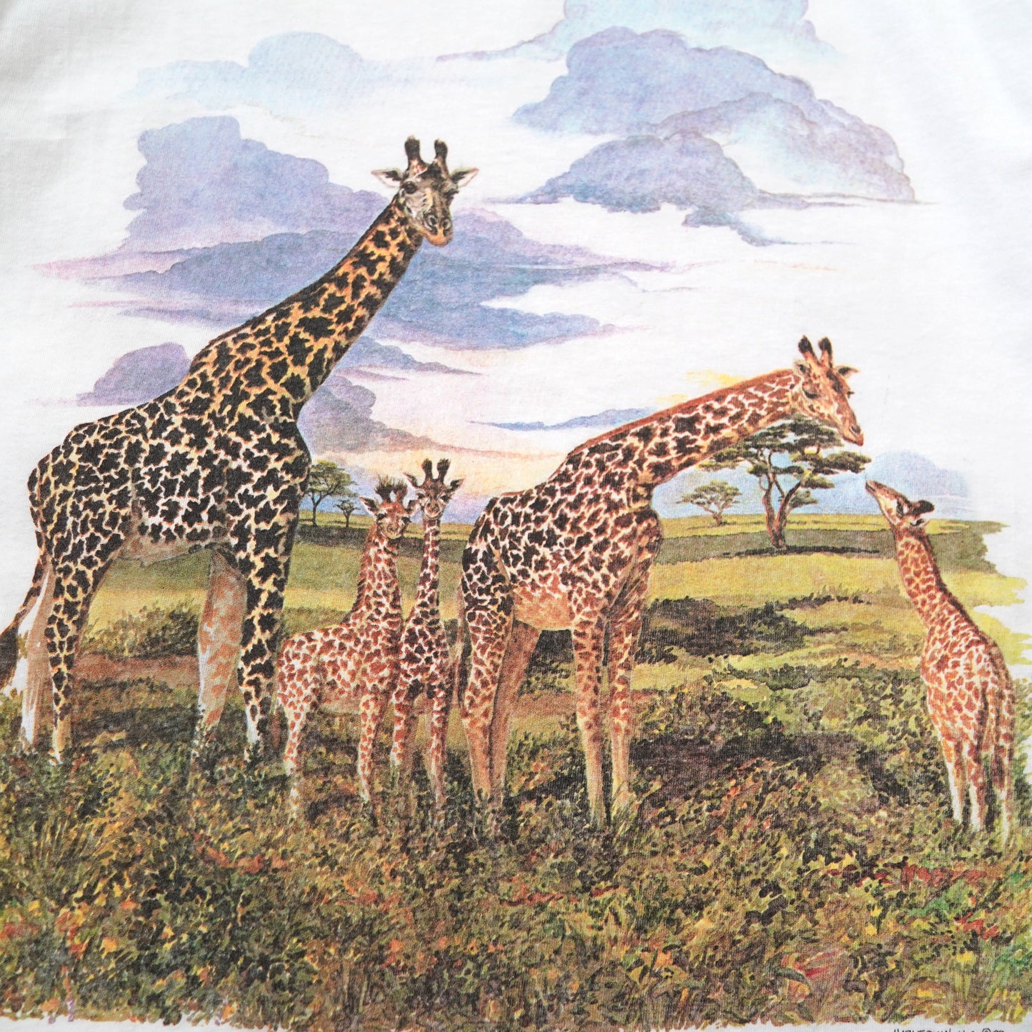 80s HARLEQUIN NG animal tee