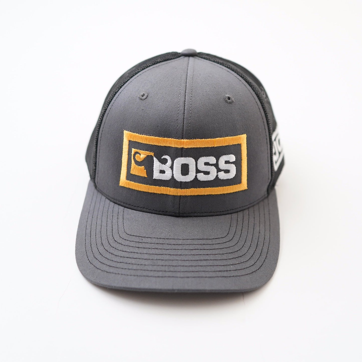 BOSS Mesh cap