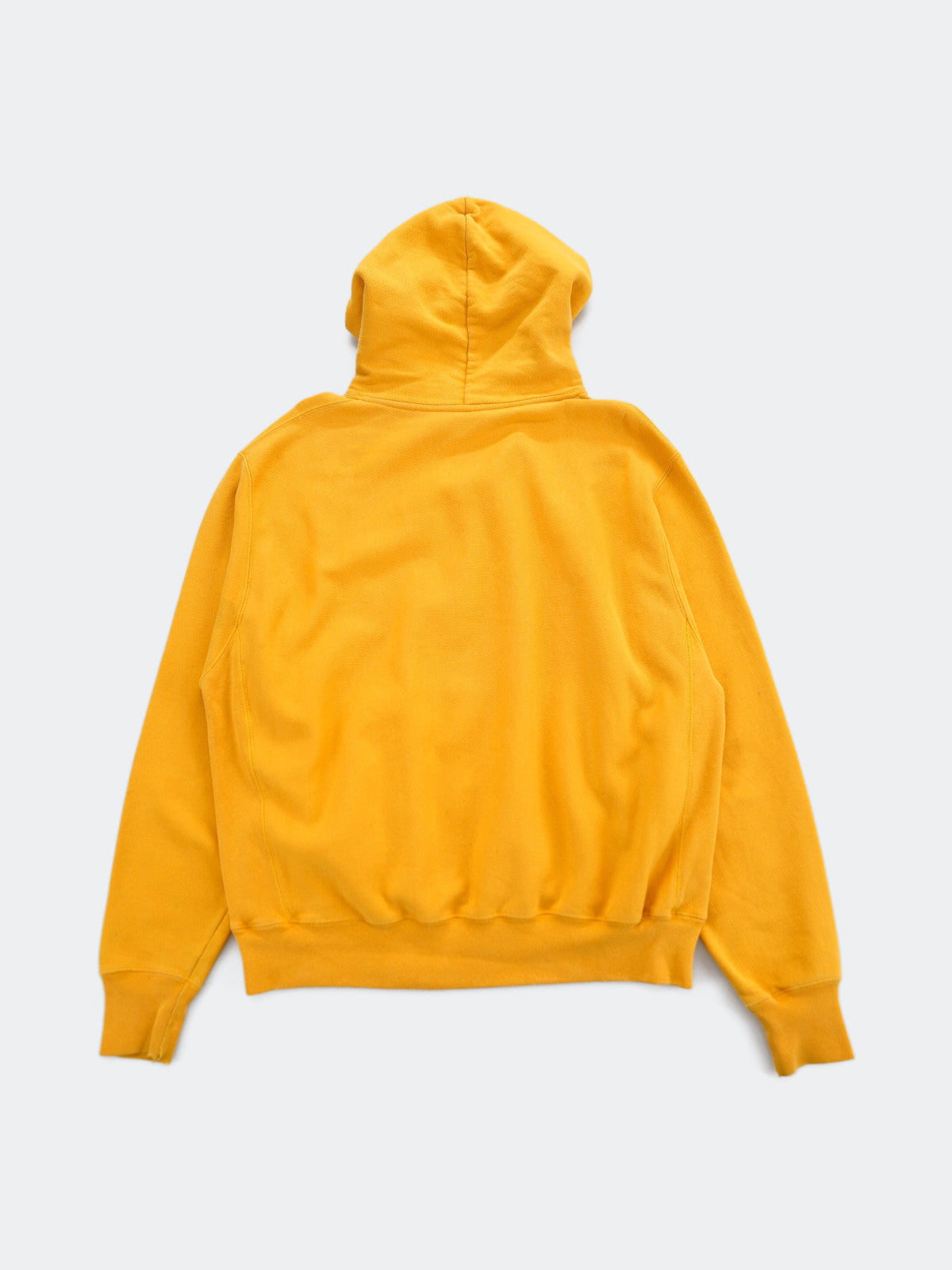 Champion REVERSE WEAVE hoodie