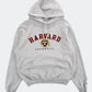 Champion college logo hoodie