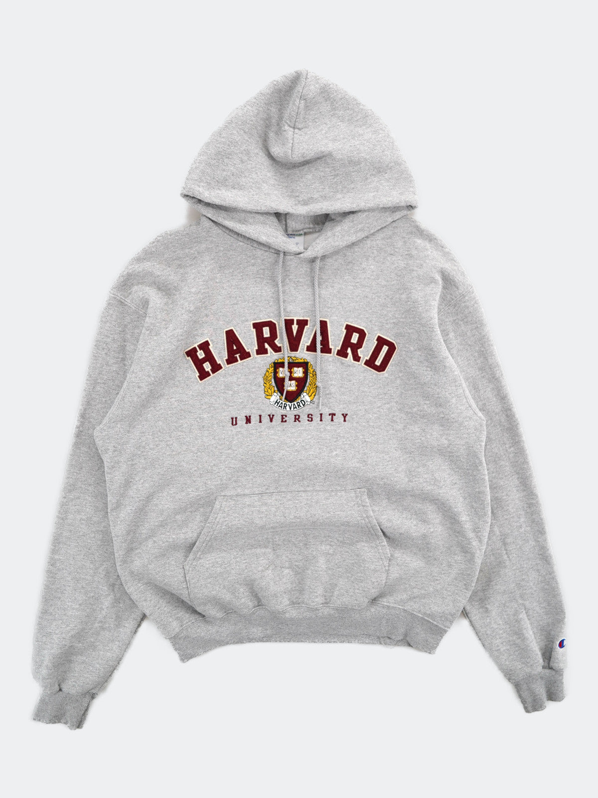 Champion college logo hoodie