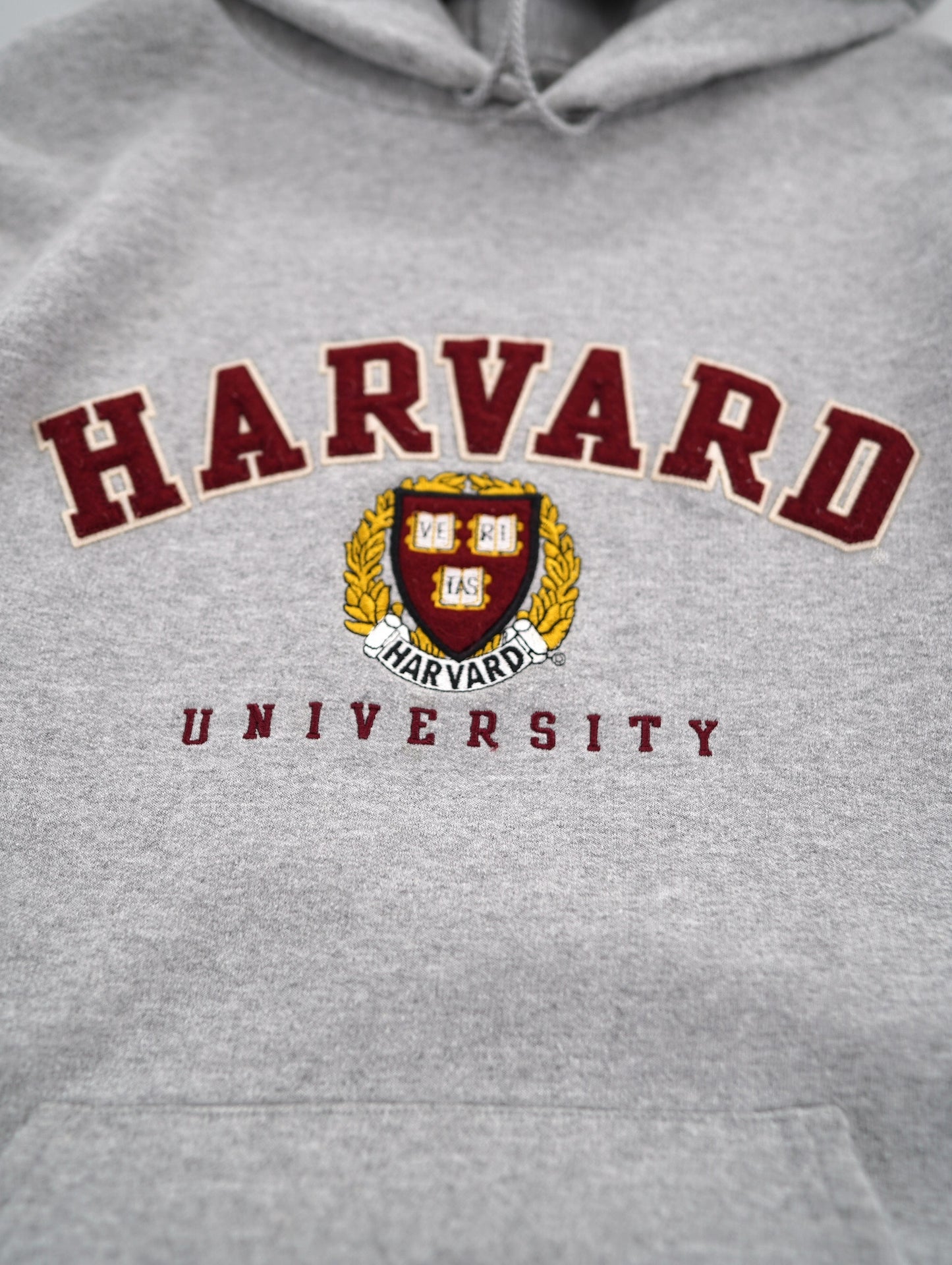 Champion college logo hoodie