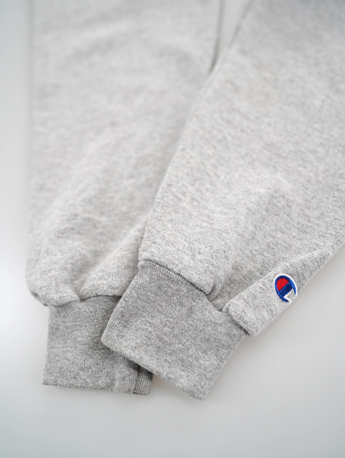 Champion college logo hoodie