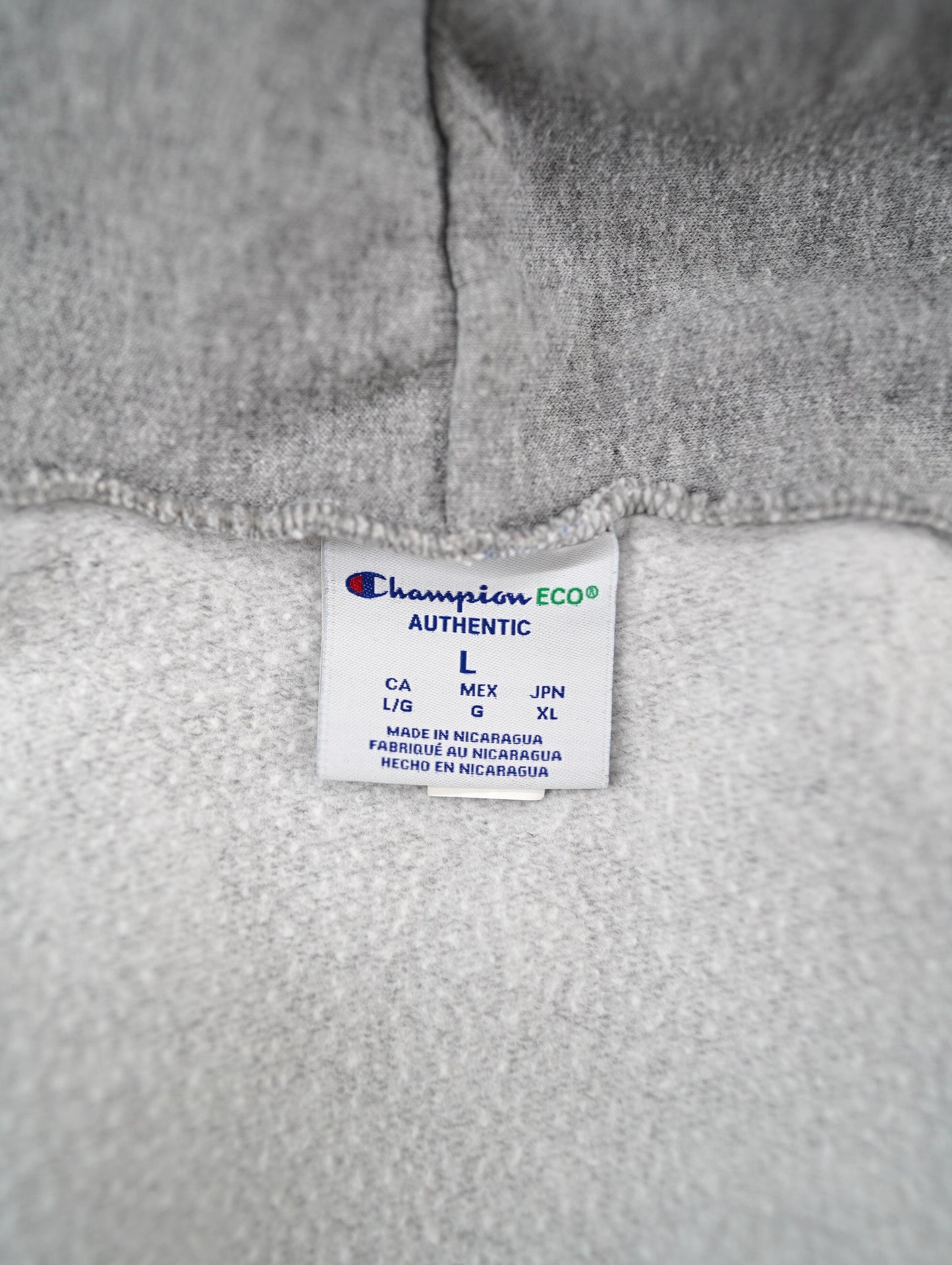 Champion college logo hoodie