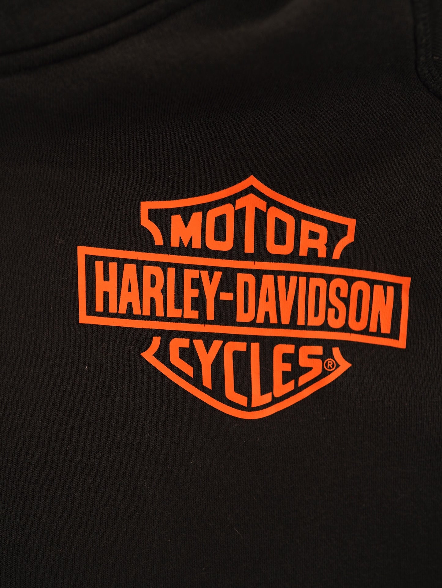 HARLEY DAVIDSON 120years hoodie