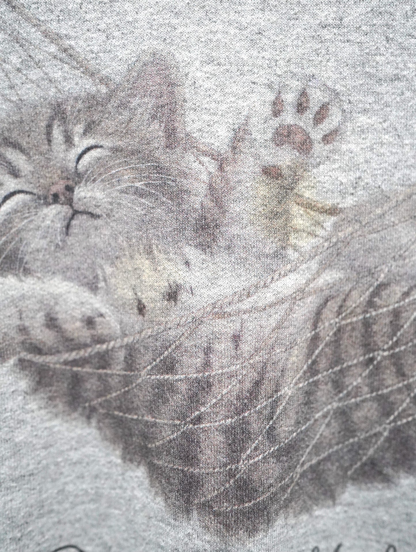 animal sweat