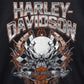 HARLEY DAVIDSON long tee