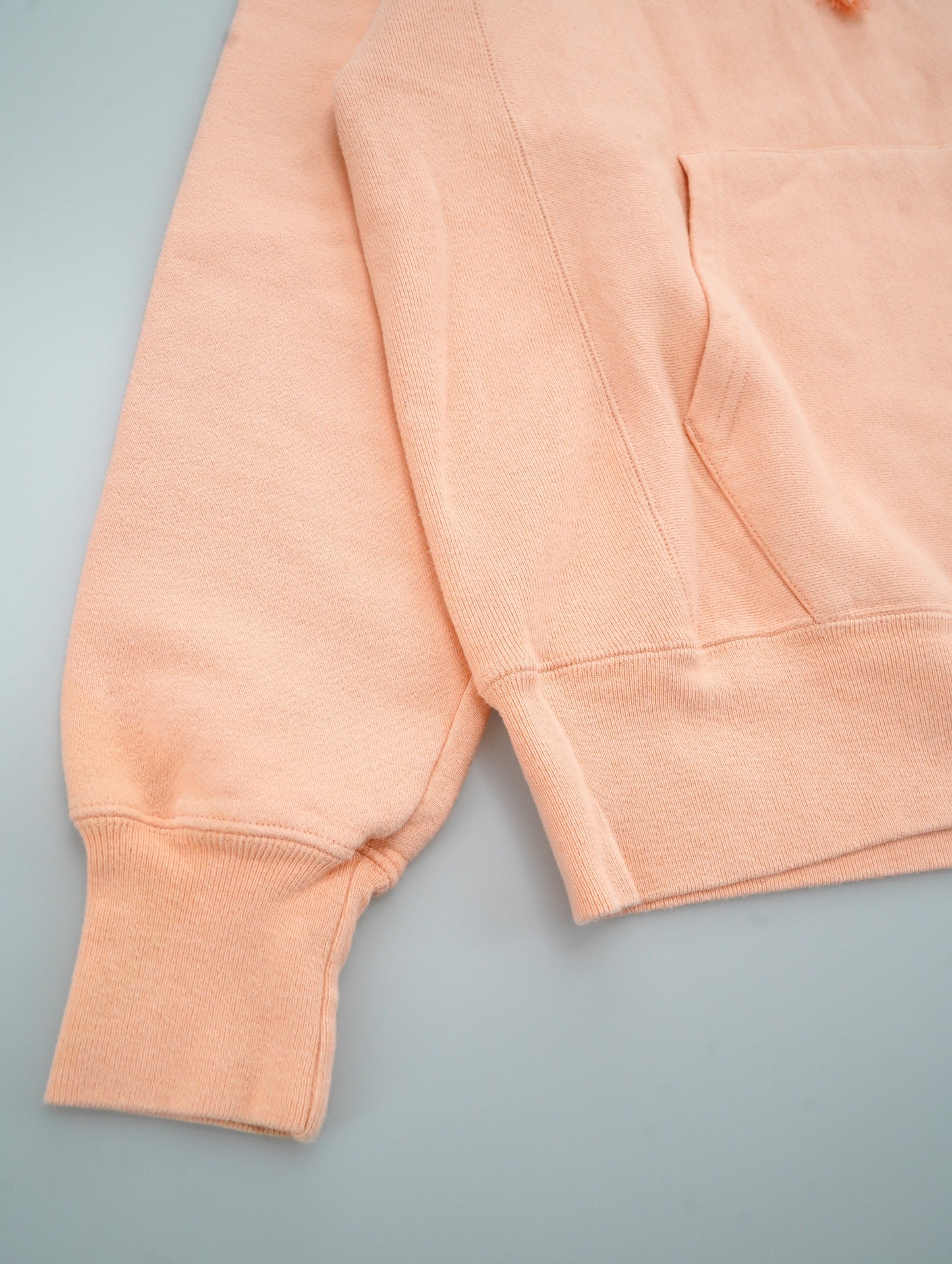 Champion REVERSE WEAVE hoodie