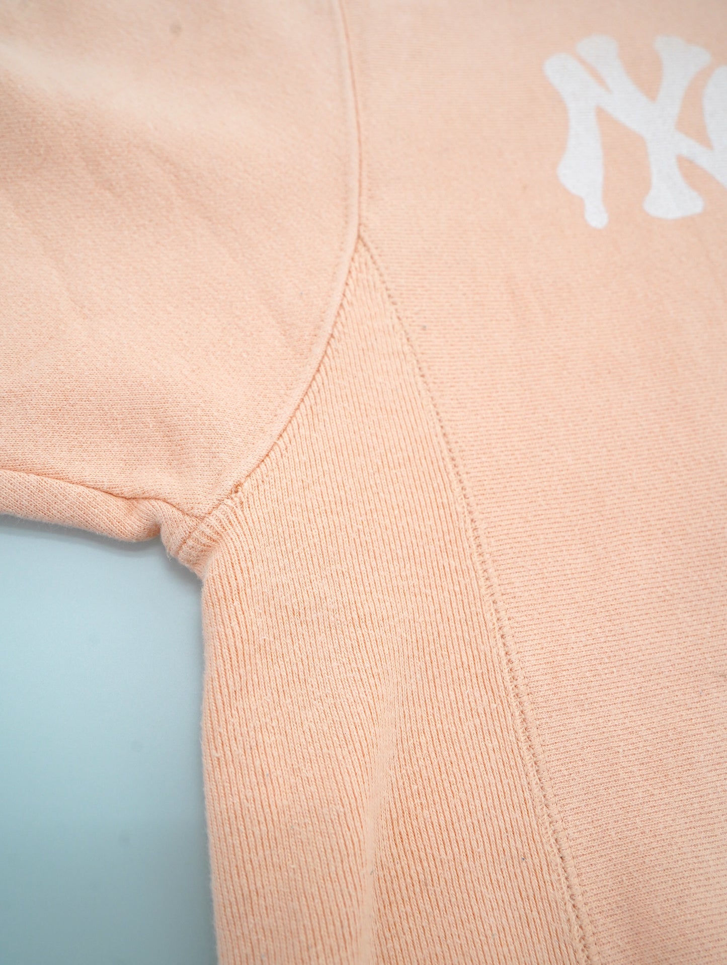 Champion REVERSE WEAVE hoodie