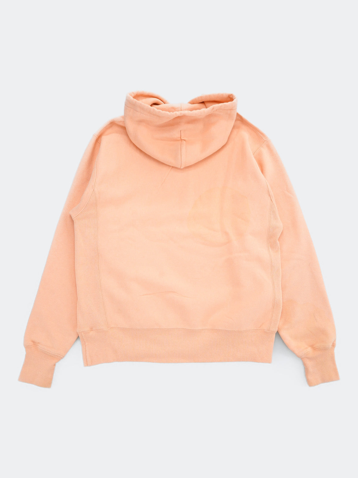 Champion REVERSE WEAVE hoodie