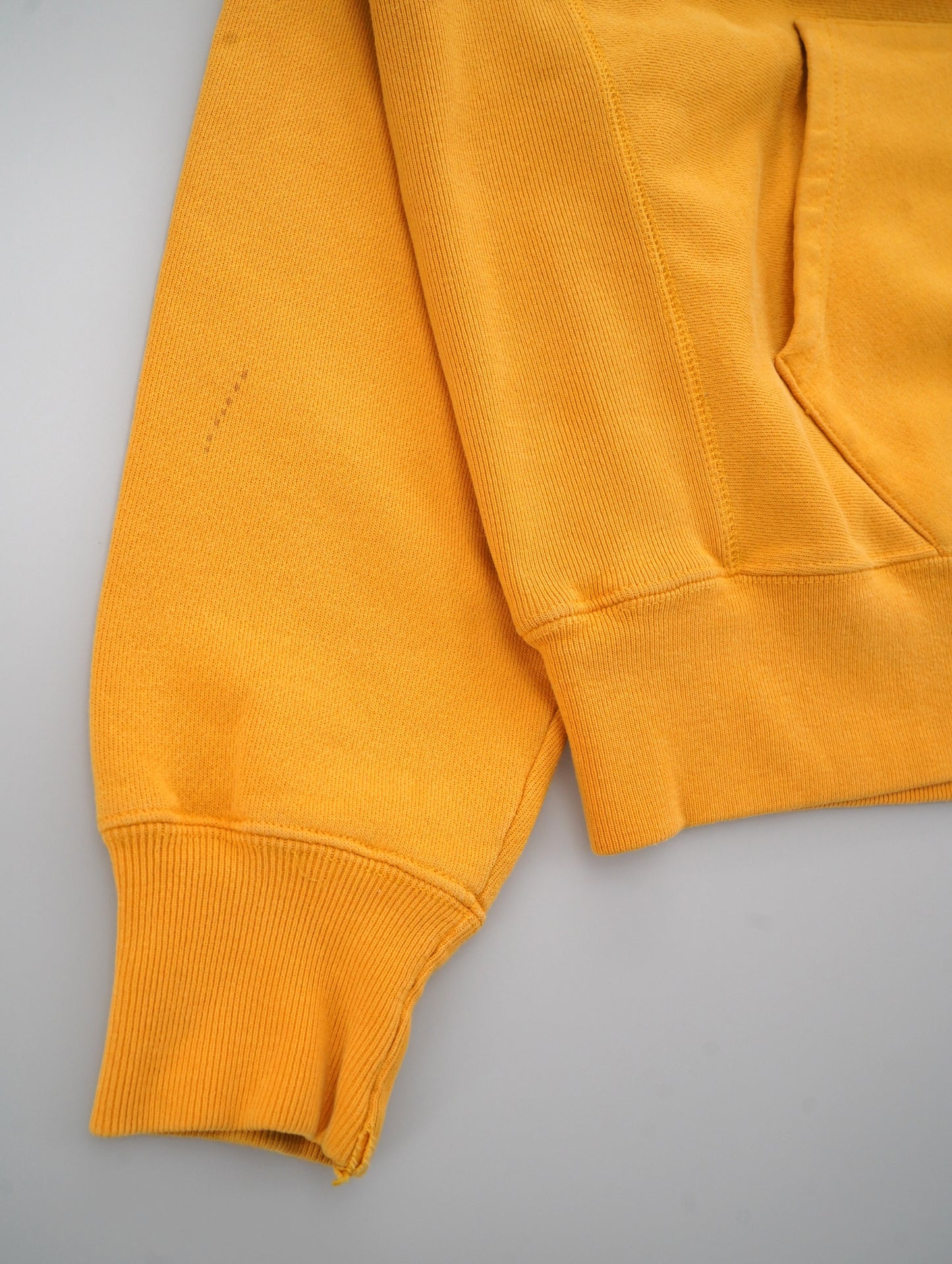 Champion REVERSE WEAVE hoodie