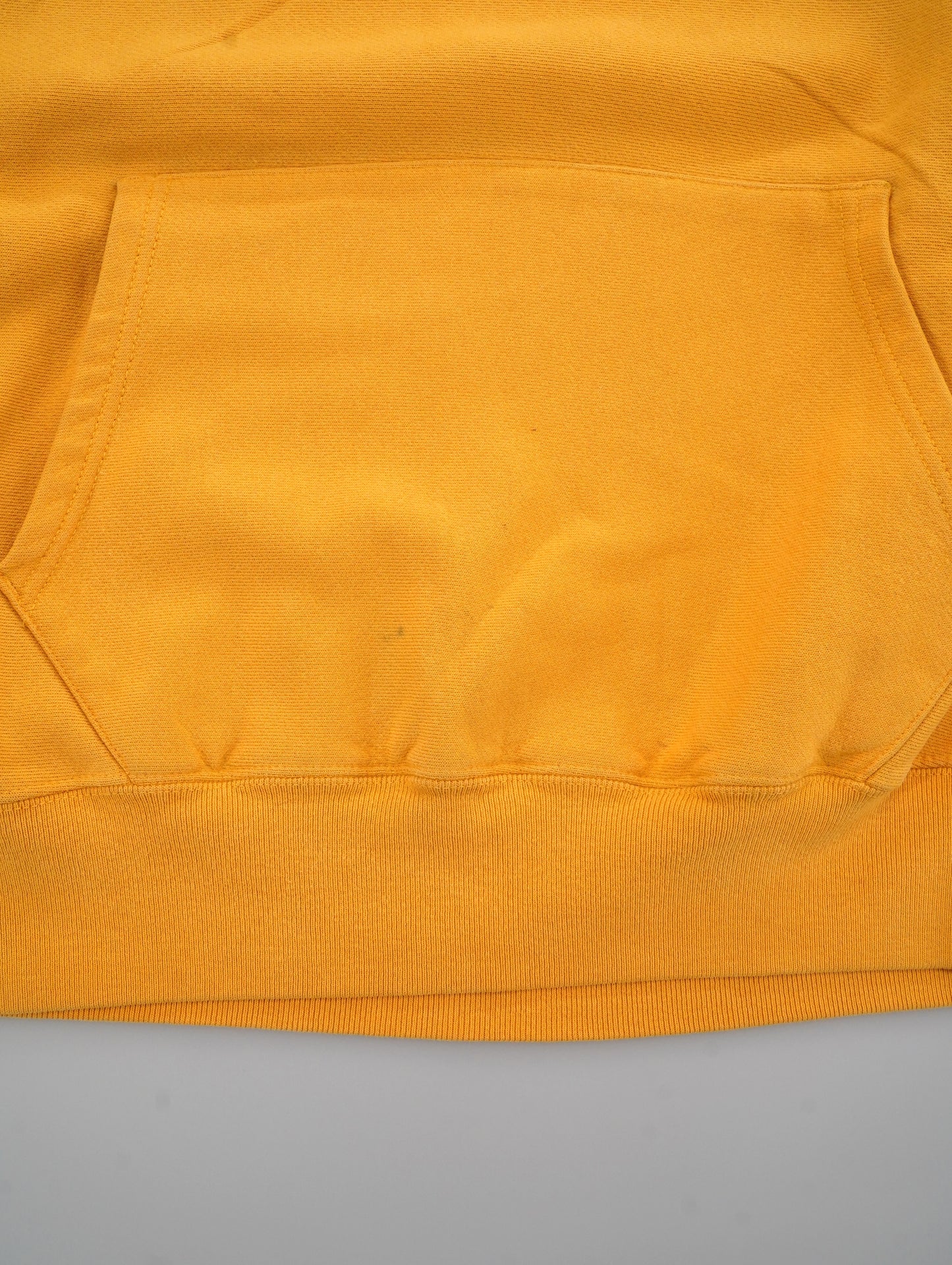 Champion REVERSE WEAVE hoodie