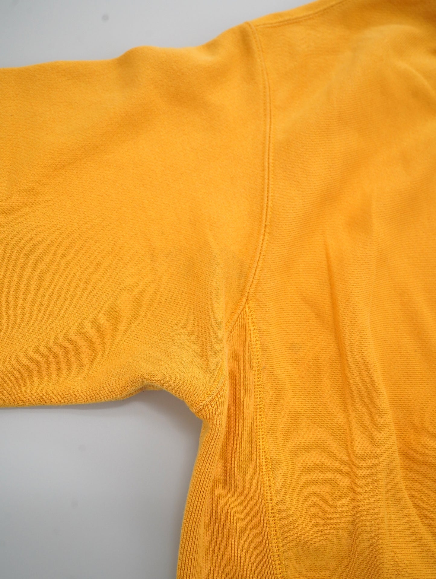 Champion REVERSE WEAVE hoodie