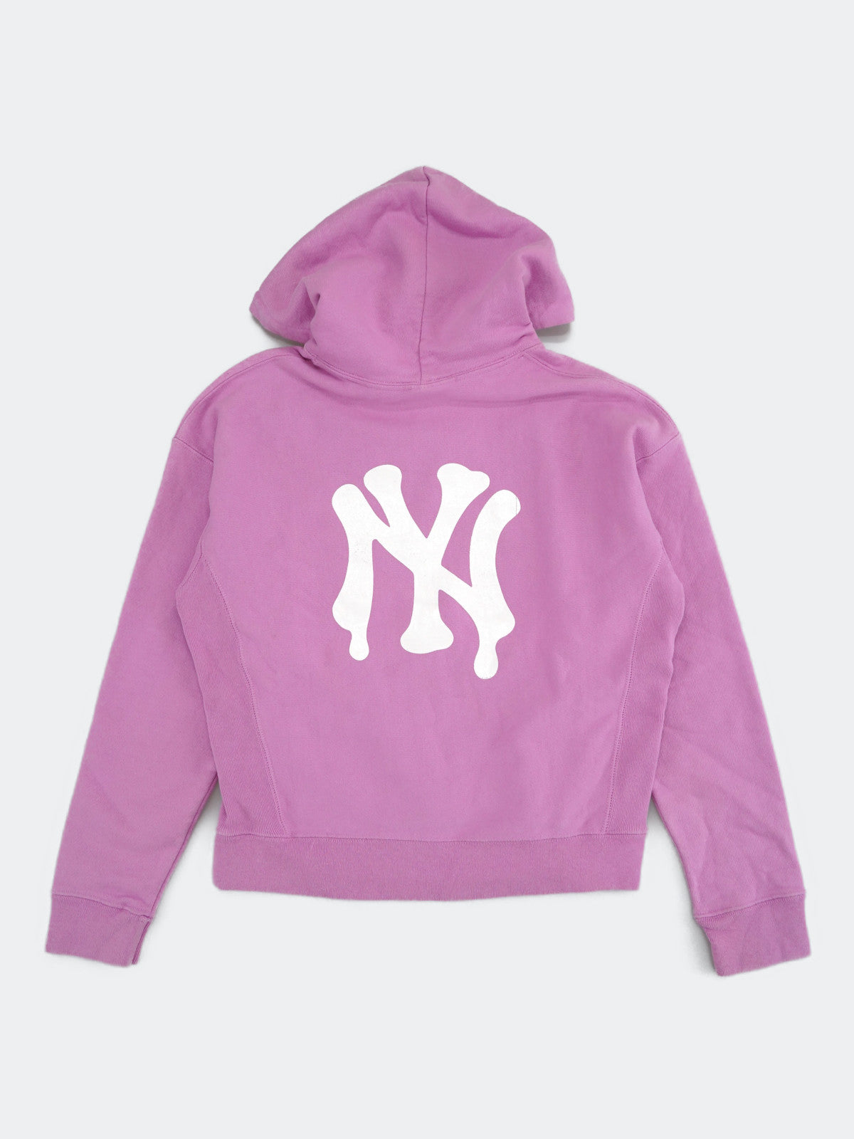 Champion REVERSE WEAVE hoodie