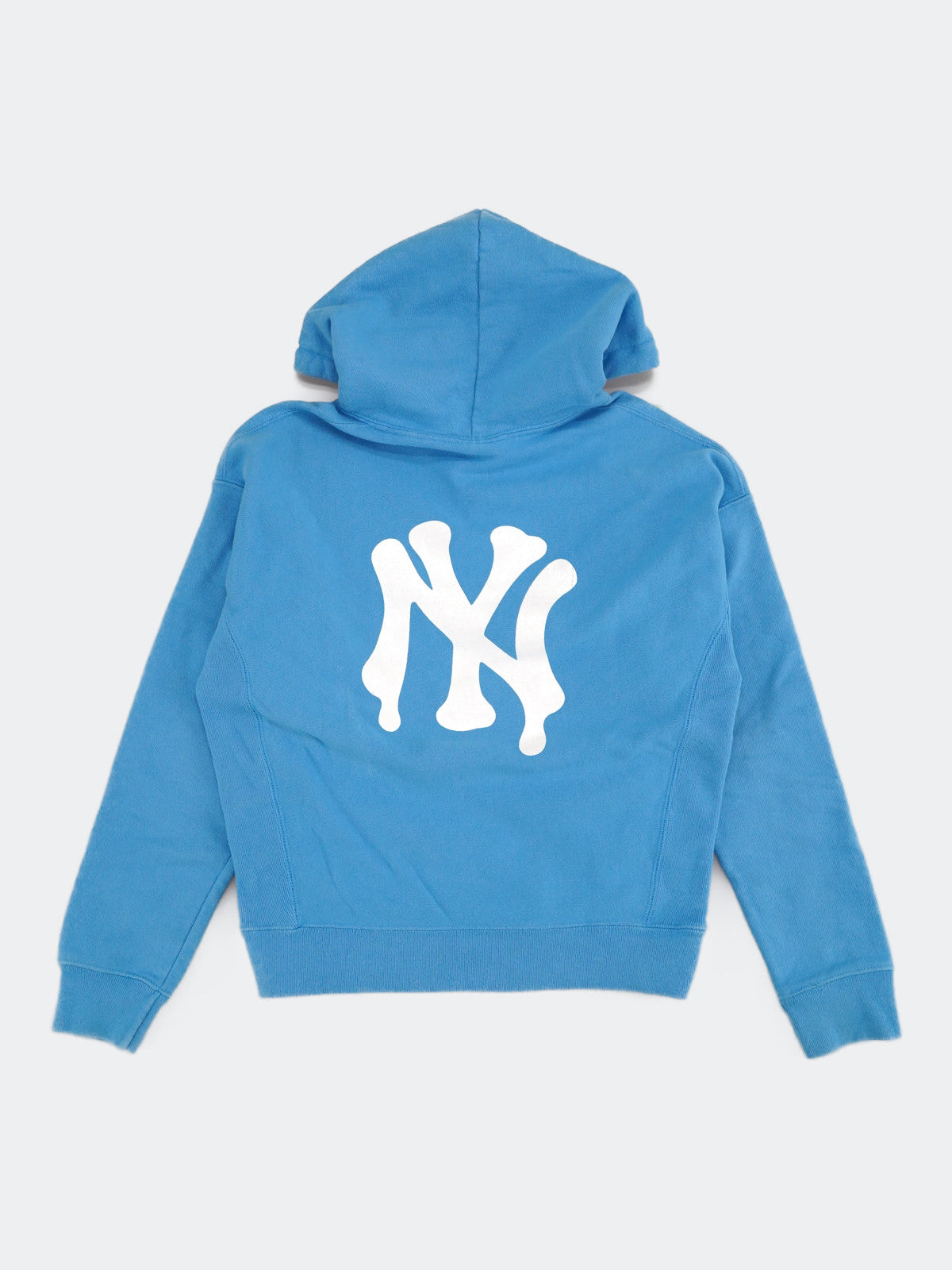 Champion REVERSE WEAVE hoodie