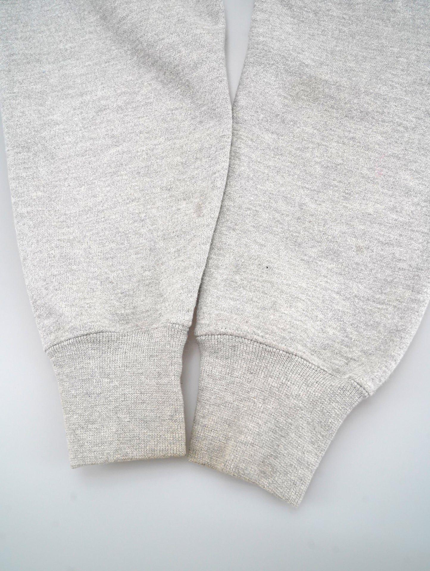Champion REVERSE WEAVE hoodie