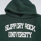 college logo hoodie