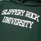 college logo hoodie