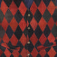 checkerboard vest
