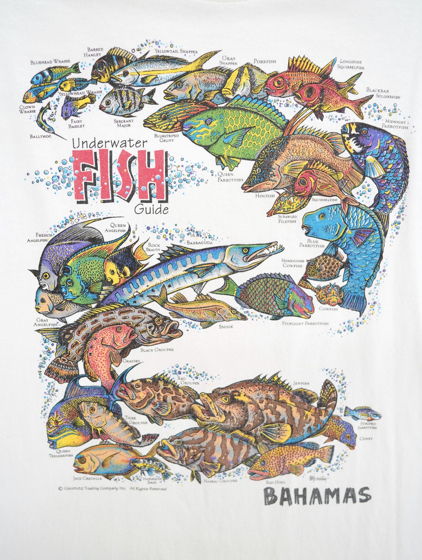 90s-00s fish guid tee