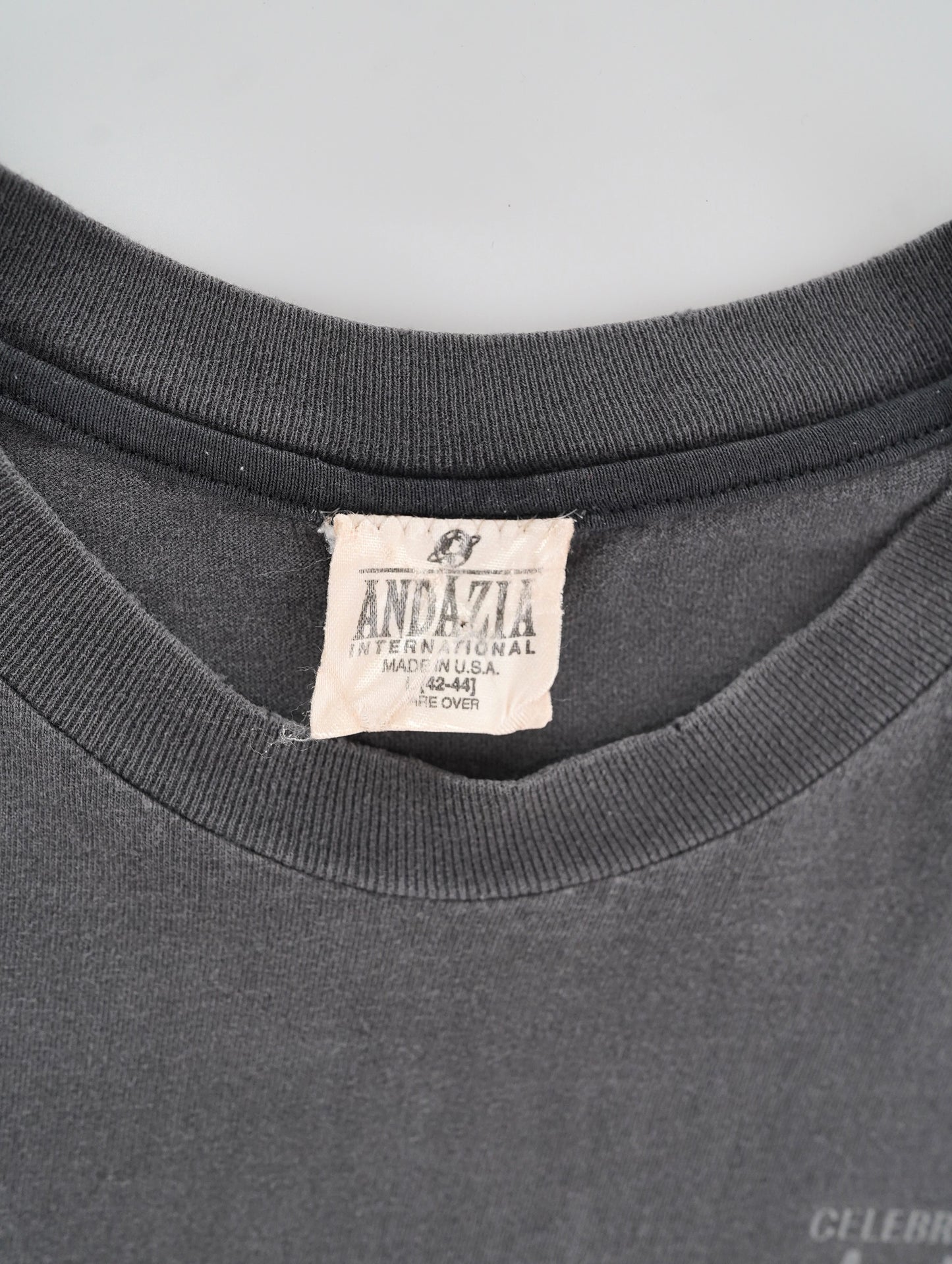 2000 Albert Einstein tee